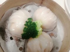 虾饺皇-禄興記香港大排档(歌斐中心店)