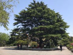 -青岛德国总督楼旧址博物馆