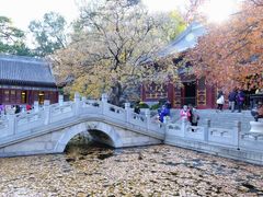 -香山公园