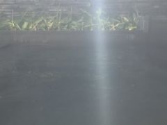 -明谷行馆·温泉