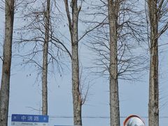 -金山农民画村-枫泾波兰倒置屋