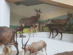 -陕西自然博物馆