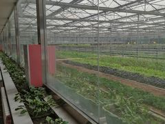 -北京美神宫艺术主题温泉酒店