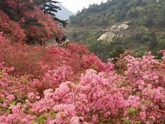 -木兰云雾山