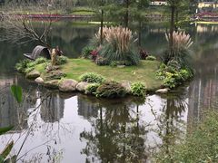 -重庆彩云湖湿地公园