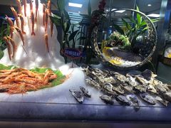 -乔哥铭洋海鲜自助(皇城恒隆广场店)