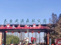 -黄海国家森林公园