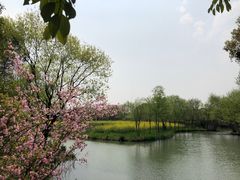 -西溪国家湿地公园