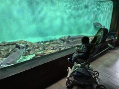 -太平洋海底世界