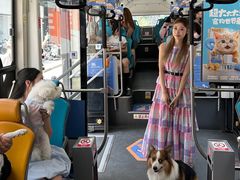 -帕帕拉兹宠物(亚洲旗舰店)