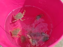 -嵊泗基湖沙滩