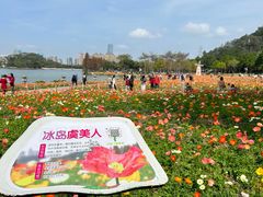 -顺峰山公园