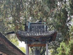 -窦大夫祠