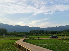 -野鸭湖国家湿地公园