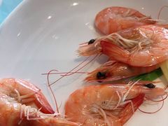 白灼活虾-丰收日(五角场店)