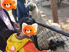-保定市动物园