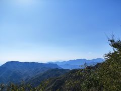-大岭沟猕猴桃谷风景区