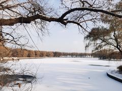 -北陵公园