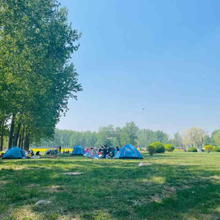 天津武清北運河郊野公園房車露營地