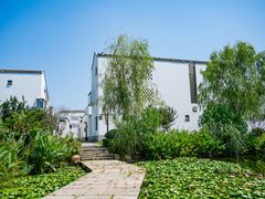 -东梓关景区村庄