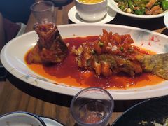 -扬州狮子楼·非遗淮扬菜(东关街店)