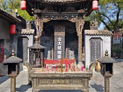 -大槐树寻根祭祖园