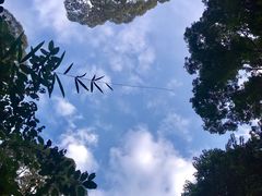 -武吉知马自然保护区