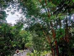 -人民公园(罗湖区)