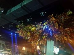 -音乐房子(鎏嘉码头店)