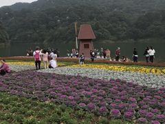 -广州市石门国家森林公园