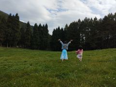 -武陵山森林公园