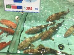 -渔民新村(番禺总店)