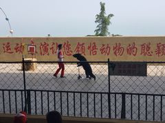 -东方熊牧场
