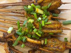 -晓靖轩烧烤(沙河风情店)