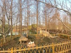 -自然谷恐龙园