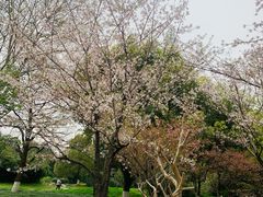 -堤角公园