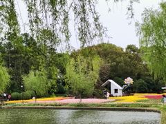-上海鲜花港