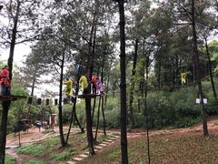 -梦幻奥陶纪景区