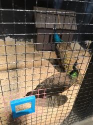 -酷嗒动物文化乐园(cutezoo西溪乐天城店)