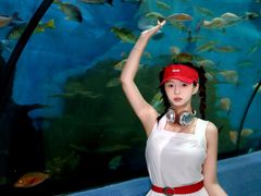 -合肥海洋世界