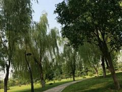 -洨河生态公园