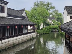 -鲁镇