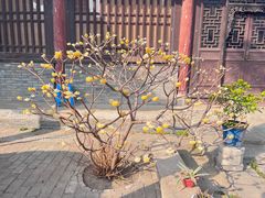 -西安化觉巷清真大寺