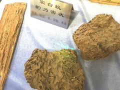 -上海昆虫博物馆