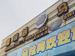 -黄河谷马拉湾海浪浴场