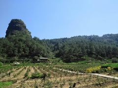 -武夷山风景名胜区-虎啸岩
