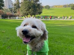 -重庆中央公园(渝北区)