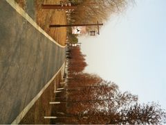 iphone_upload_pic-苏州太湖国家湿地公园