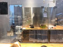 -狗道宠物(常熟印象城店)