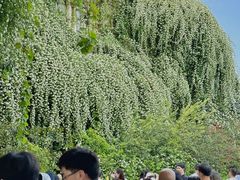-府河摄影公园
